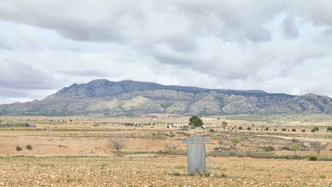 Sale - Land - Jumilla - Torre Del Rico