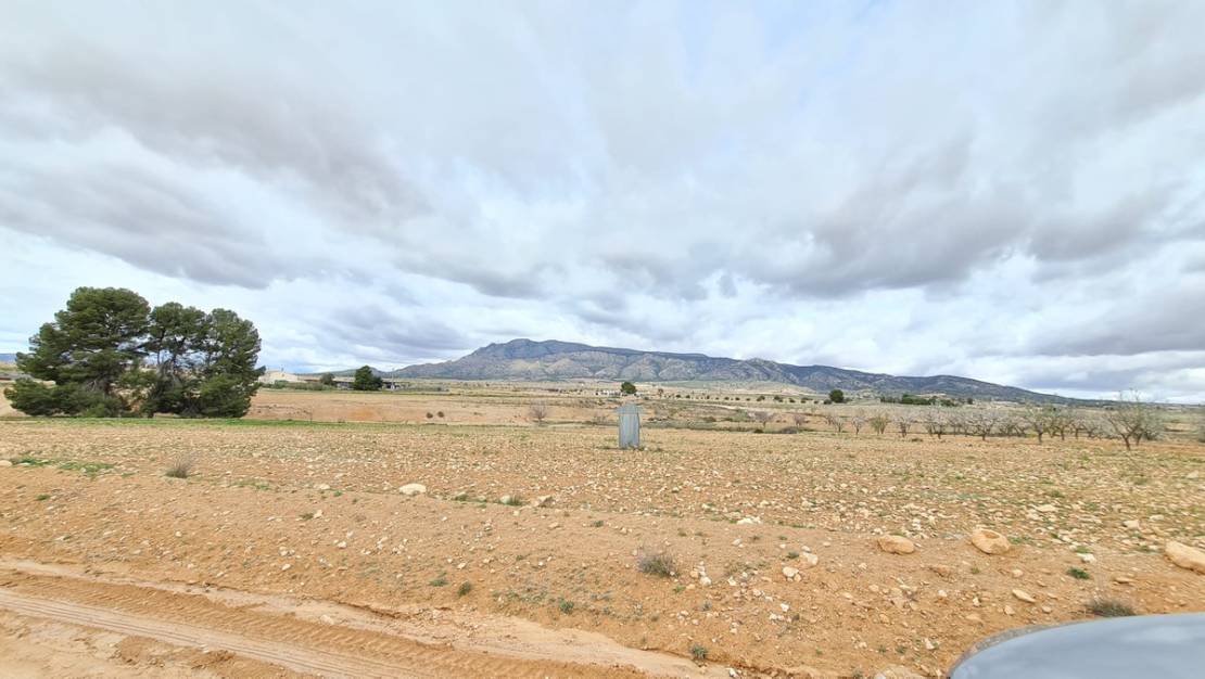 Sale - Land - Jumilla - Torre Del Rico