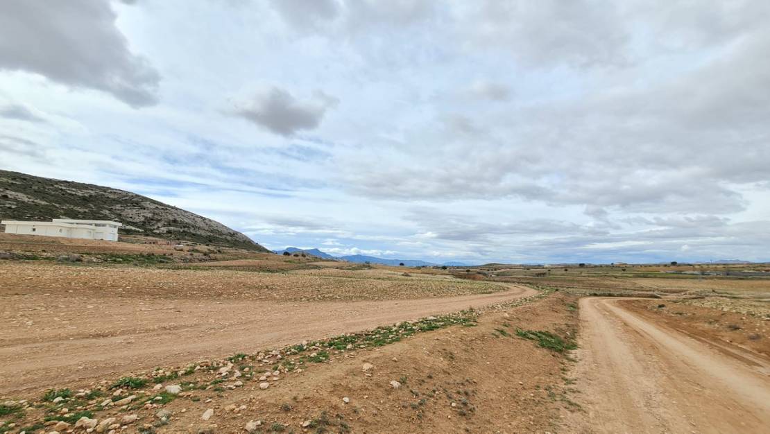 Sale - Land - Jumilla - Torre Del Rico