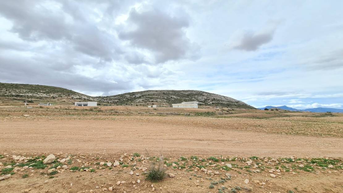 Sale - Land - Jumilla - Torre Del Rico