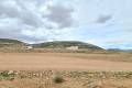 Sale - Land - Jumilla - Torre Del Rico