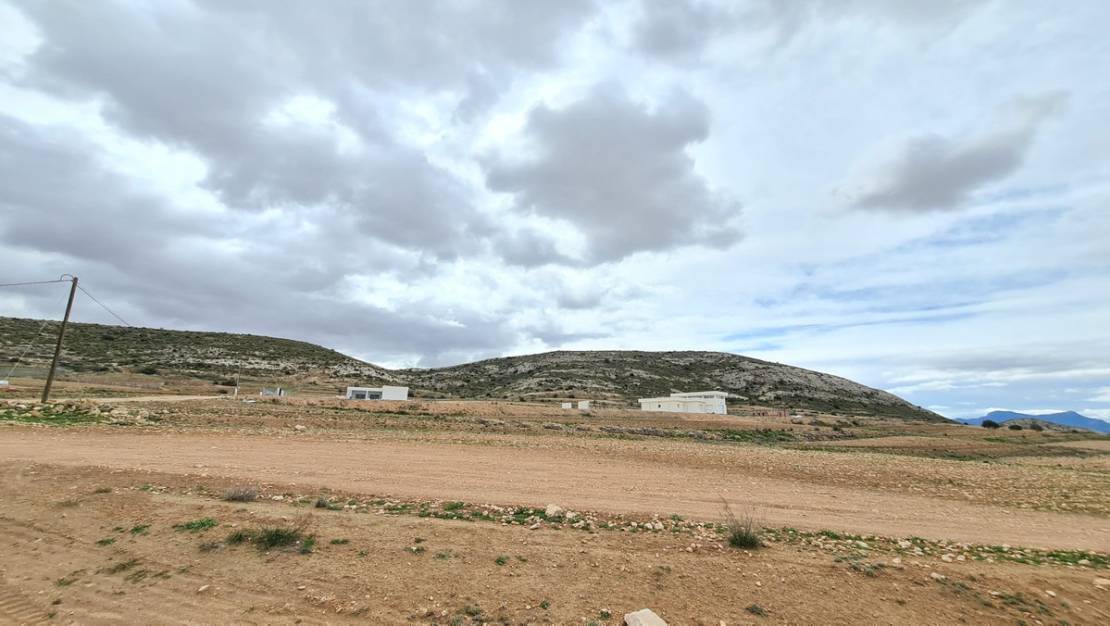 Sale - Land - Jumilla - Torre Del Rico
