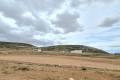 Sale - Land - Jumilla - Torre Del Rico