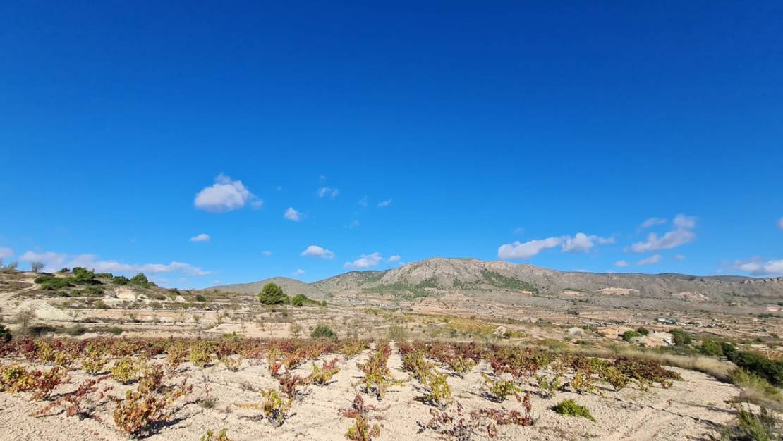 Sale - Land - La Romana - La Romana Centro