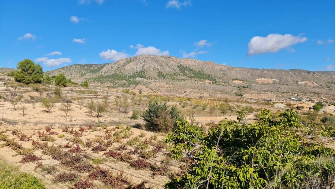 Sale - Land - La Romana - La Romana Centro