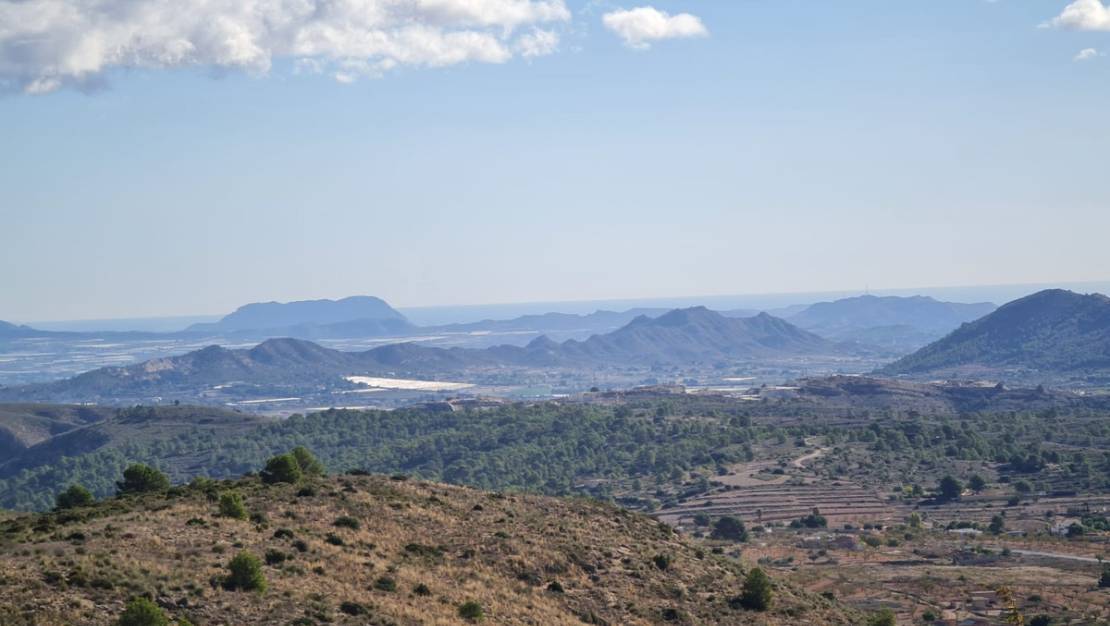 Sale - Land - La Romana - La Romana Centro