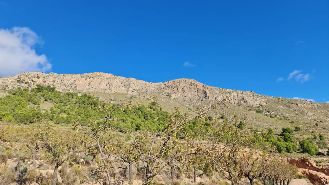 Sale - Land - La Romana - La Romana Centro