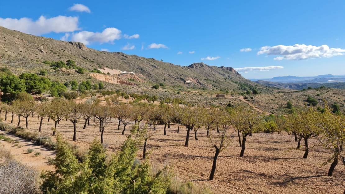 Sale - Land - La Romana - La Romana Centro