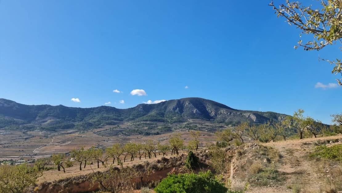 Sale - Land - La Romana - La Romana Centro