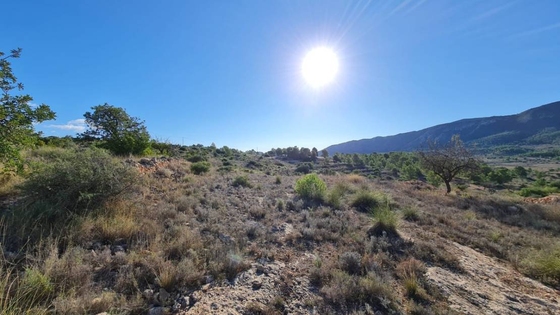 Sale - Land - La Romana - La Romana Centro