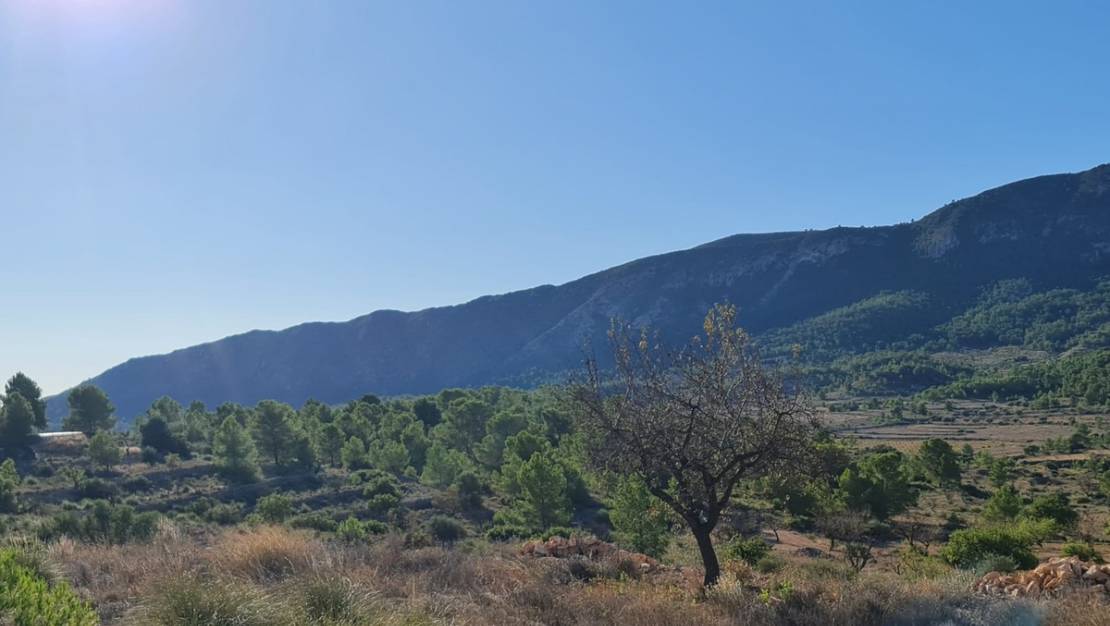 Sale - Land - La Romana - La Romana Centro