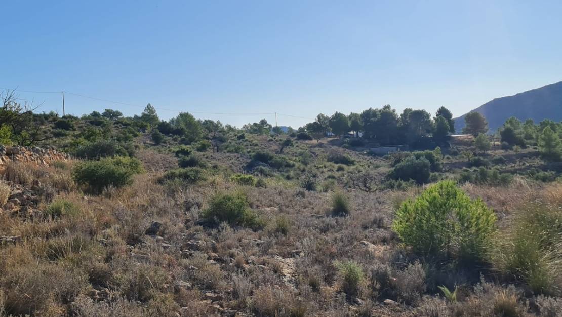 Sale - Land - La Romana - La Romana Centro