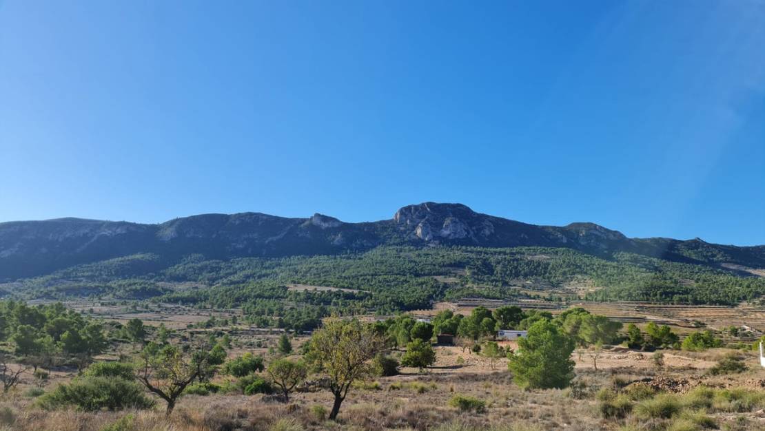 Sale - Land - La Romana - La Romana Centro