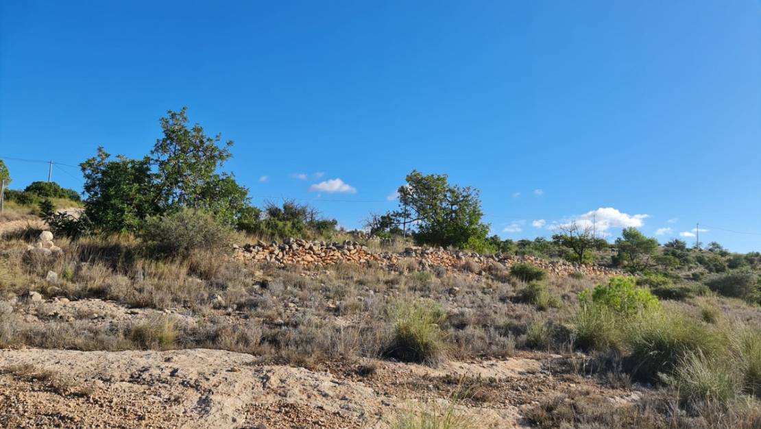 Sale - Land - La Romana - La Romana Centro