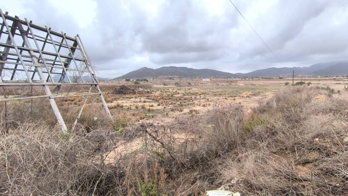 Sale - Land - La Romana - La Romana Centro