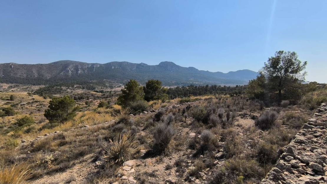 Sale - Land - La Romana - La Romana Centro