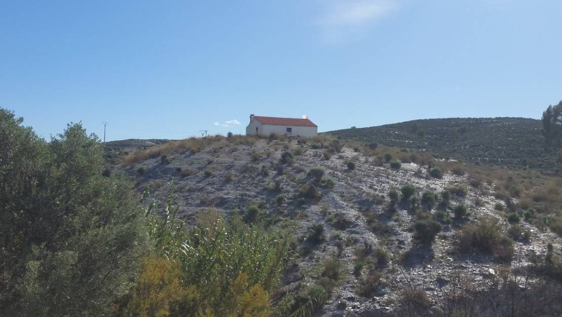 Sale - Land - Lorca - Lorca Centro