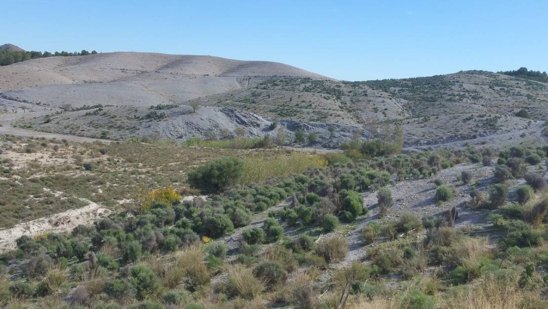 Sale - Land - Lorca - Lorca Centro