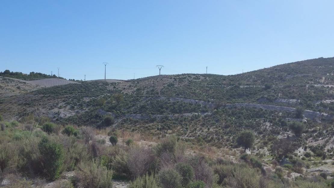 Sale - Land - Lorca - Lorca Centro