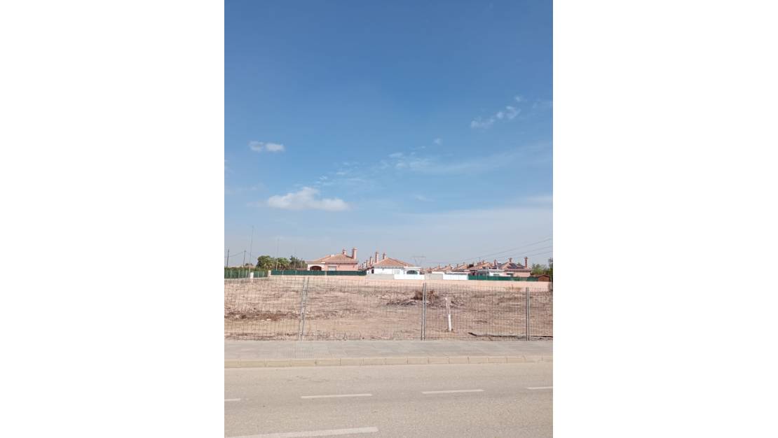 Sale - Land - Los Montesinos - Los Montesinos Centro