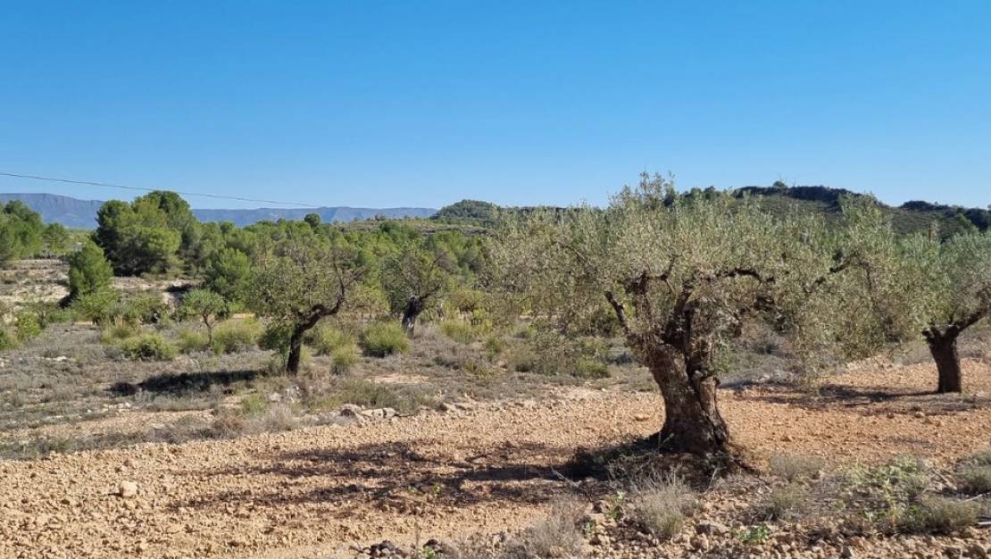 Sale - Land - Monóvar - Monòver - Casas del Señor