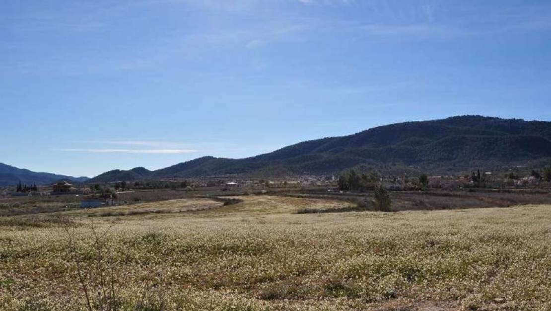 Sale - Land - Monóvar - Monòver - Chinorlet