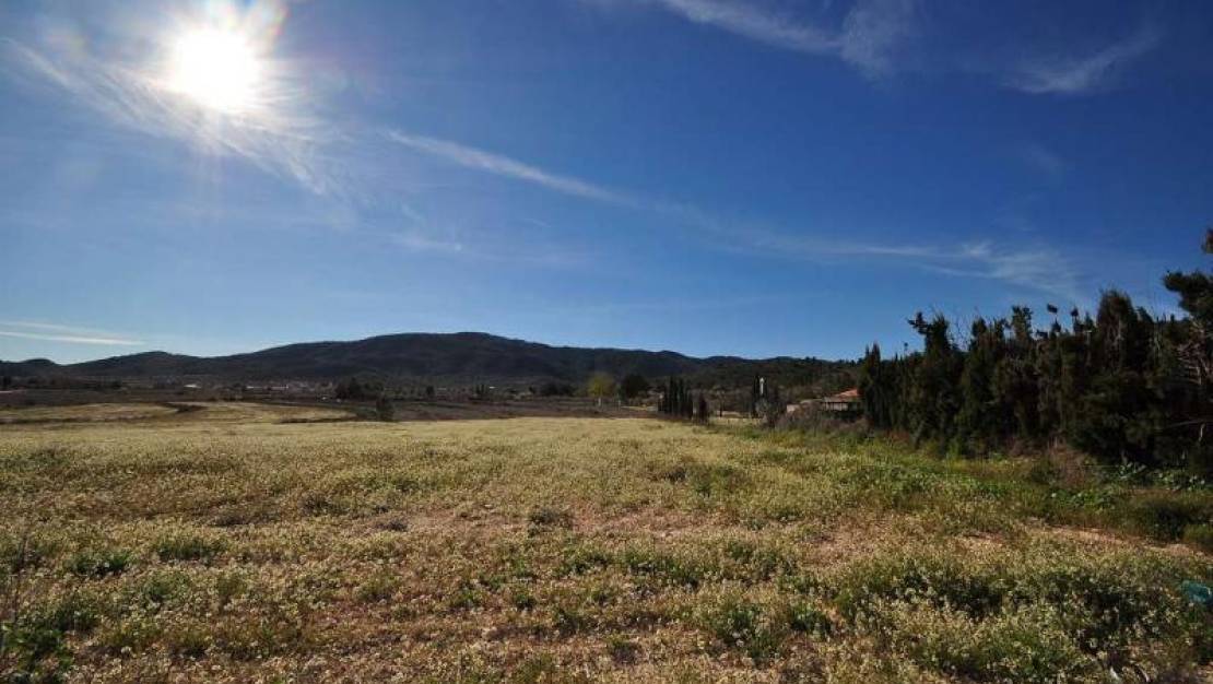 Sale - Land - Monóvar - Monòver - Chinorlet