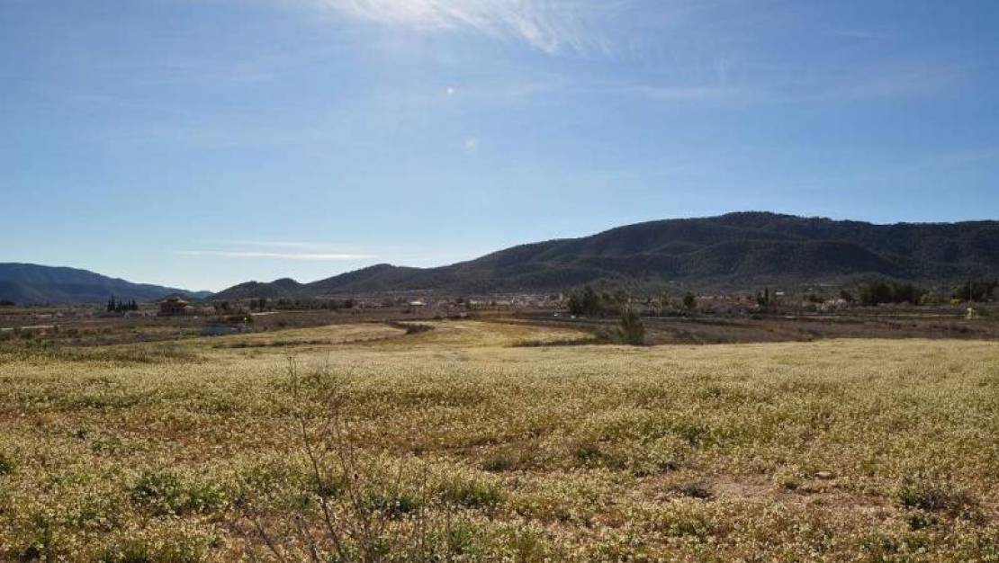 Sale - Land - Monóvar - Monòver - Chinorlet