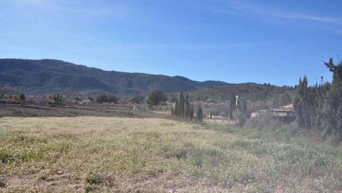 Sale - Land - Monóvar - Monòver - Chinorlet