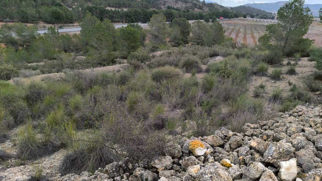 Sale - Land - Monóvar - Monòver - Chinorlet