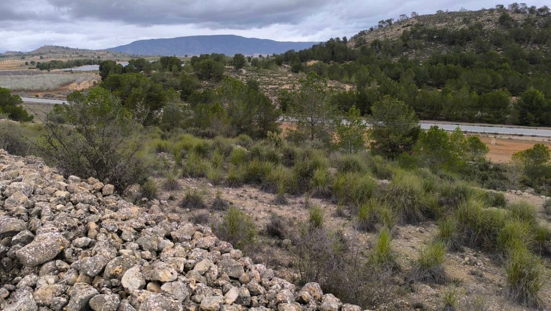 Sale - Land - Monóvar - Monòver - Chinorlet