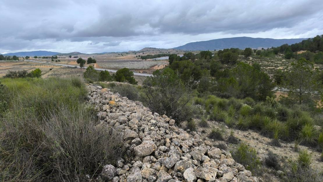 Sale - Land - Monóvar - Monòver - Chinorlet