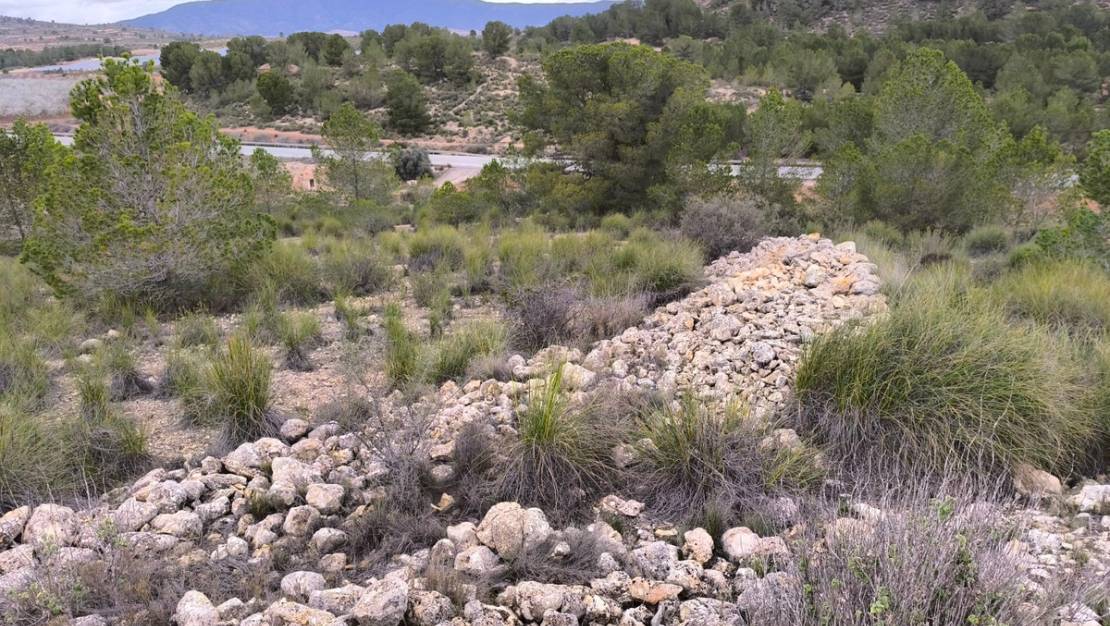 Sale - Land - Monóvar - Monòver - Chinorlet