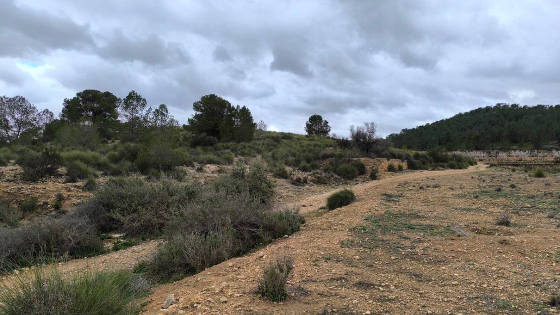 Sale - Land - Monóvar - Monòver - Chinorlet