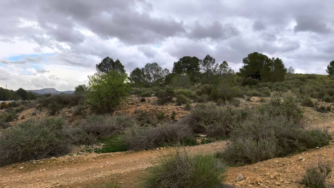 Sale - Land - Monóvar - Monòver - Chinorlet