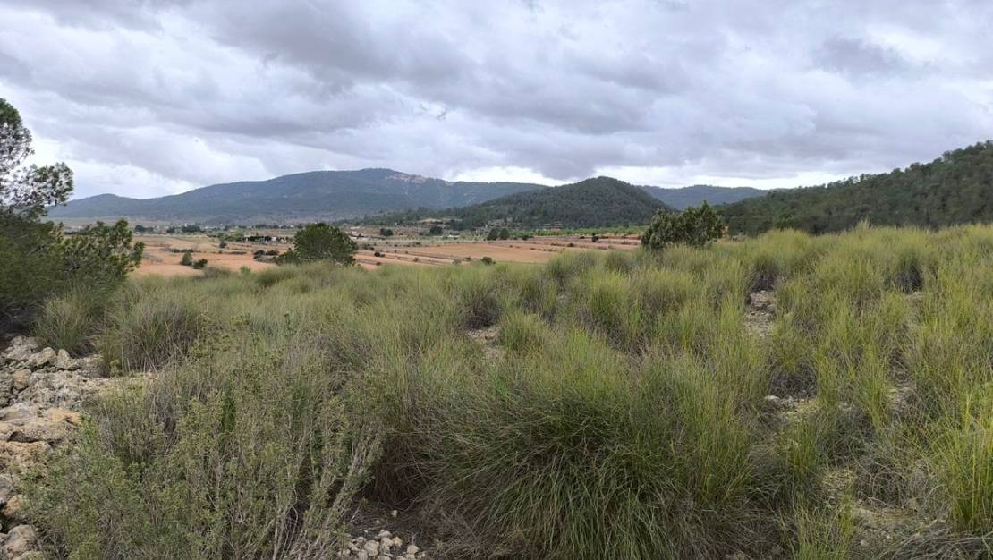 Sale - Land - Monóvar - Monòver - Chinorlet