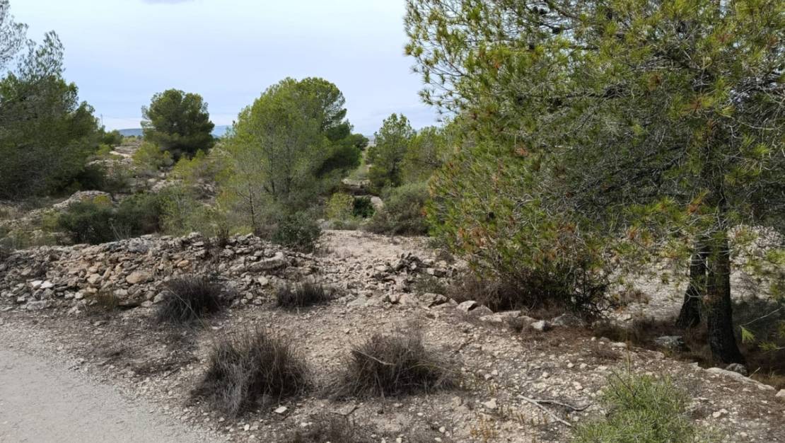 Sale - Land - Monóvar - Monòver - Monóvar - Monòver Centro