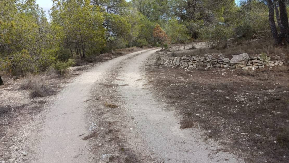 Sale - Land - Monóvar - Monòver - Monóvar - Monòver Centro