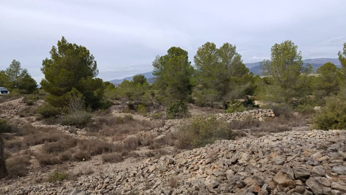 Sale - Land - Monóvar - Monòver - Monóvar - Monòver Centro