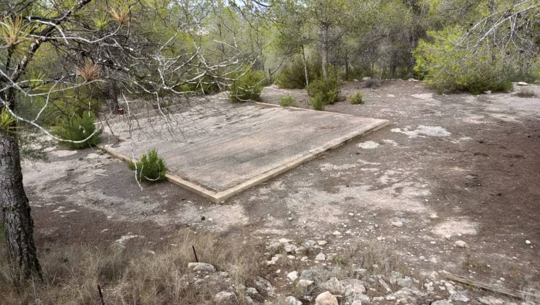 Sale - Land - Monóvar - Monòver - Monóvar - Monòver Centro