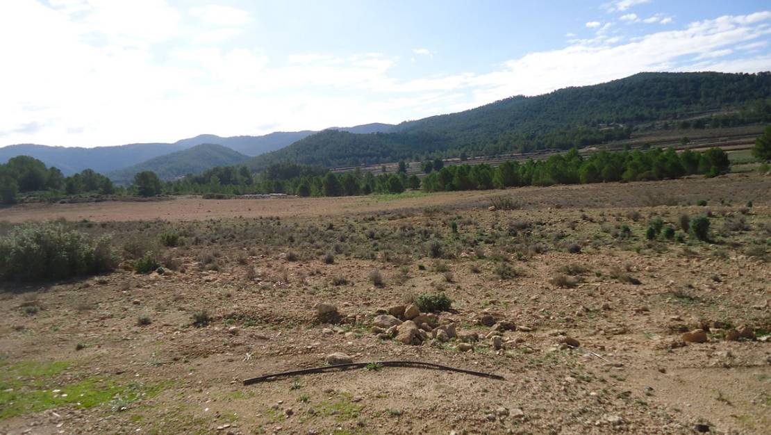 Sale - Land - Monóvar - Monòver - Monóvar - Monòver Centro