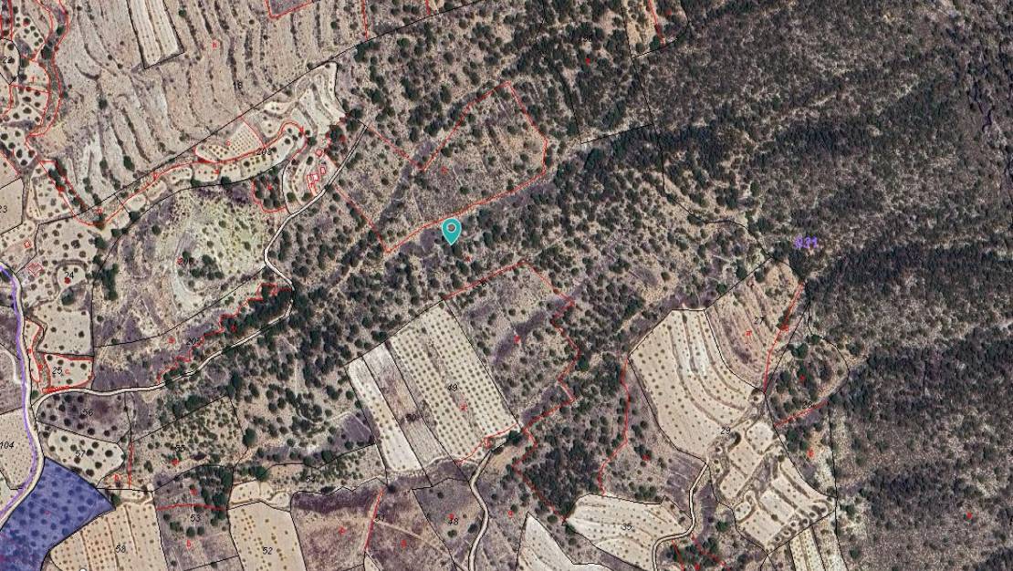 Sale - Land - Monóvar - Monòver - Monóvar - Monòver Centro