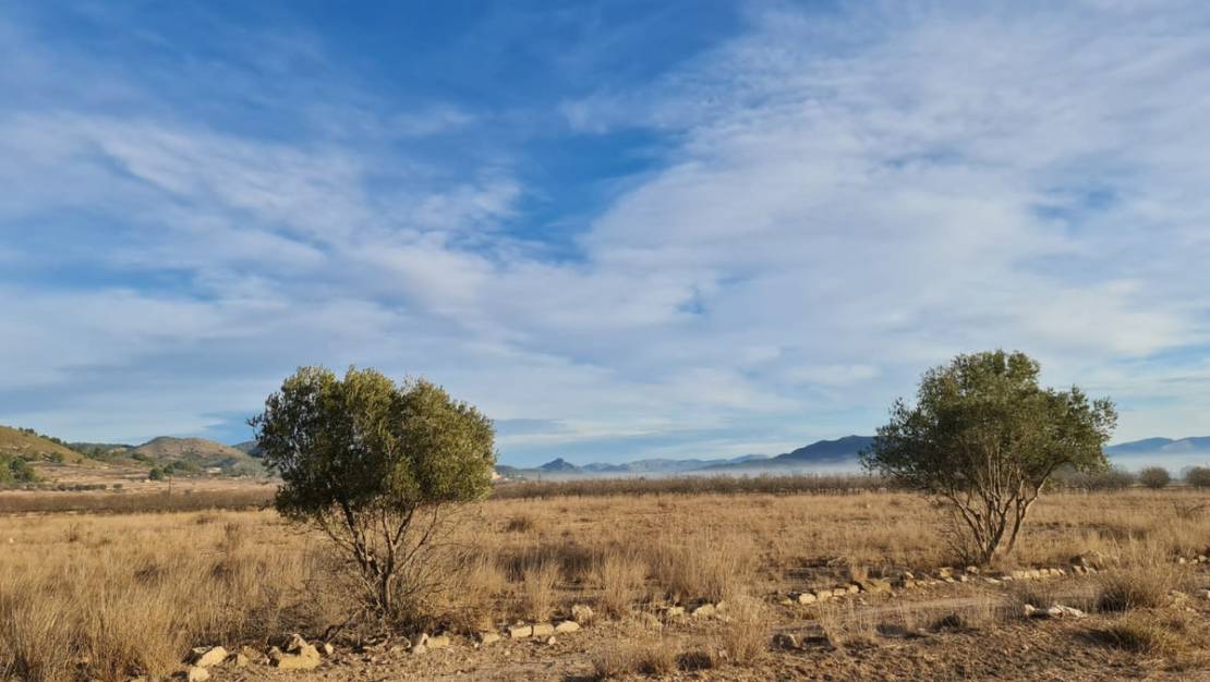 Sale - Land - Monóvar - Monòver - Monóvar - Monòver Centro