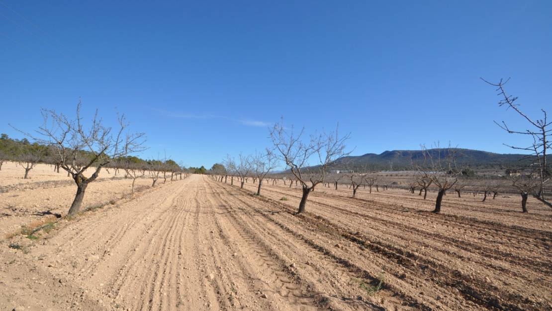 Sale - Land - Monóvar - Monòver - Monóvar - Monòver Centro