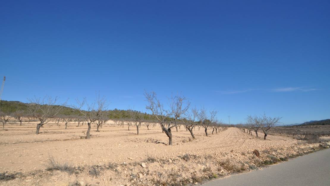 Sale - Land - Monóvar - Monòver - Monóvar - Monòver Centro