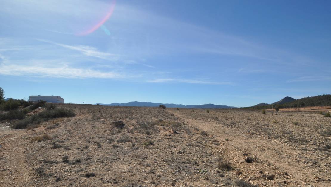 Sale - Land - Monóvar - Monòver - Monóvar - Monòver Centro