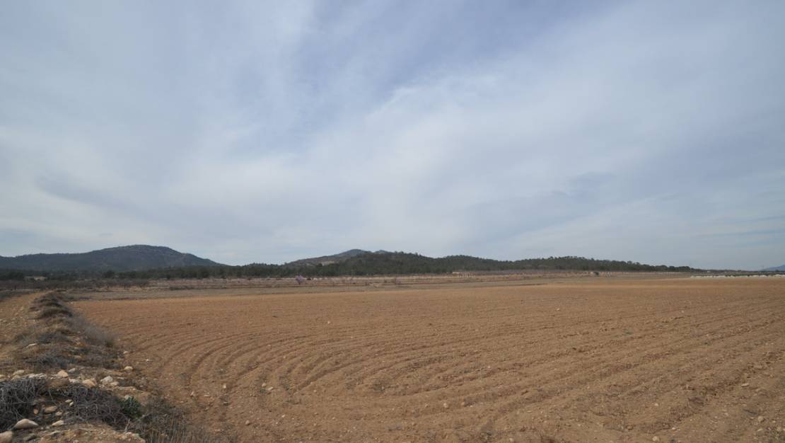 Sale - Land - Monóvar - Monòver - Monóvar - Monòver Centro