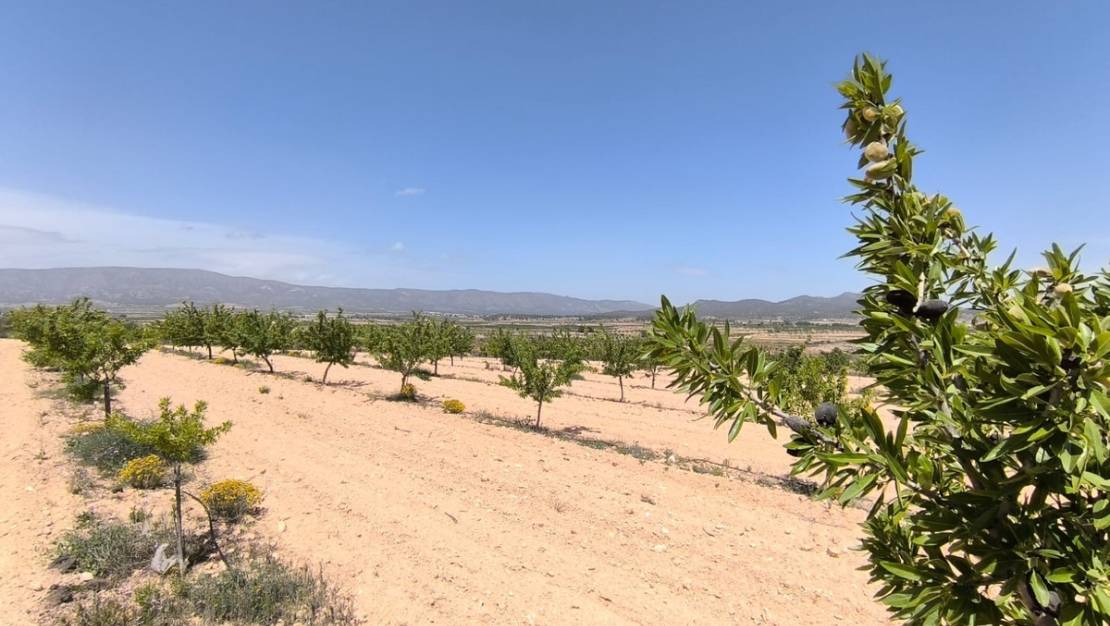 Sale - Land - Monóvar - Monòver - Monóvar - Monòver Centro