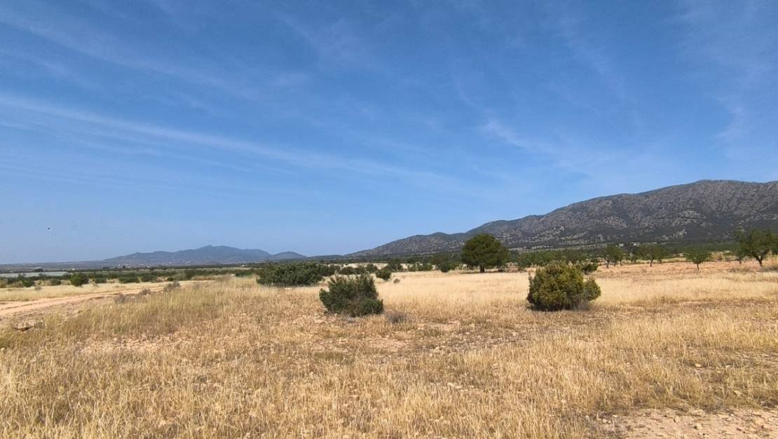 Sale - Land - Monóvar - Monòver - Monóvar - Monòver Centro