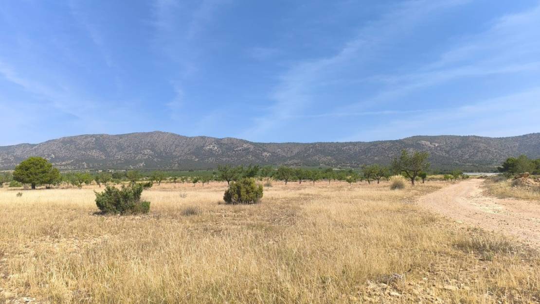 Sale - Land - Monóvar - Monòver - Monóvar - Monòver Centro